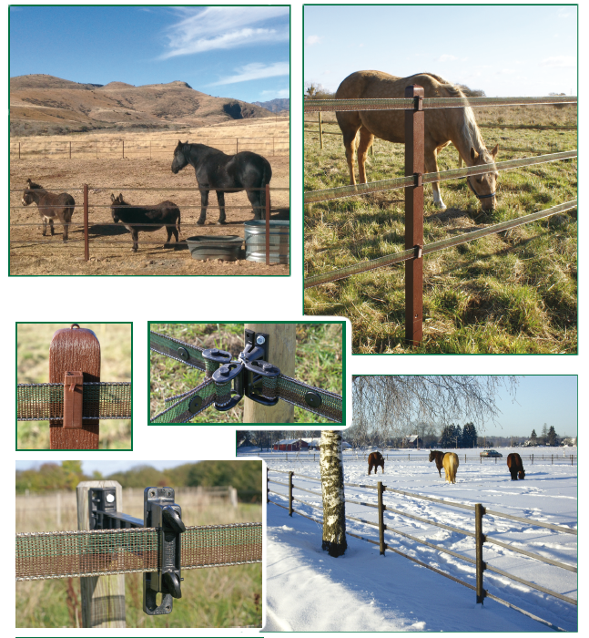 Electric fence: INNOVATION, QUALITY, ESTHETICS, IT'S THE HORSEGUARD WAY!